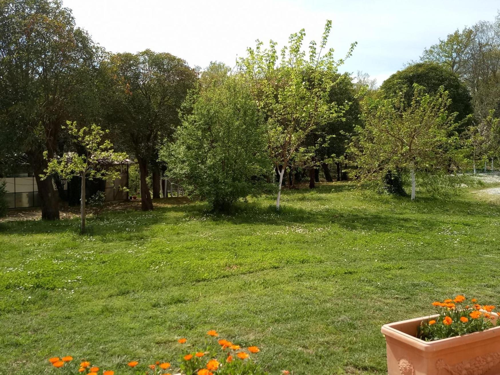 Az.Agricola Agriturismo La Locanda Di Lann Apartment Fucecchio Exterior photo